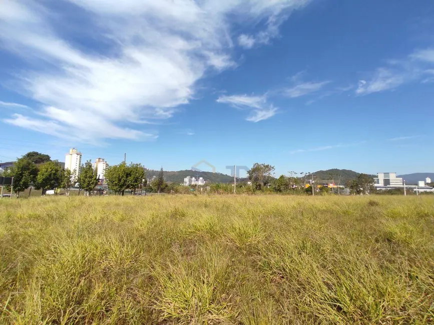 Terreno / Lote à venda, 6781m2 em Itoupava Norte, Blumenau - SC - imagem 5 Foto 5 de Terreno / Lote à venda, 6781m2 em Itoupava Norte, Blumenau - SC