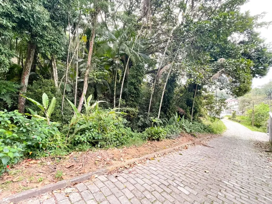 Terreno / Lote à venda, 1864m2 em Velha, Blumenau - SC - imagem 7 Foto 7 de Terreno / Lote à venda, 1864m2 em Velha, Blumenau - SC
