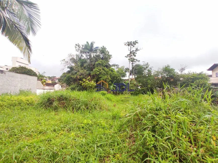 Terreno / Lote à venda, 4160m2 em Itoupava Central, Blumenau - SC - imagem 6 Foto 6 de Terreno / Lote à venda, 4160m2 em Itoupava Central, Blumenau - SC