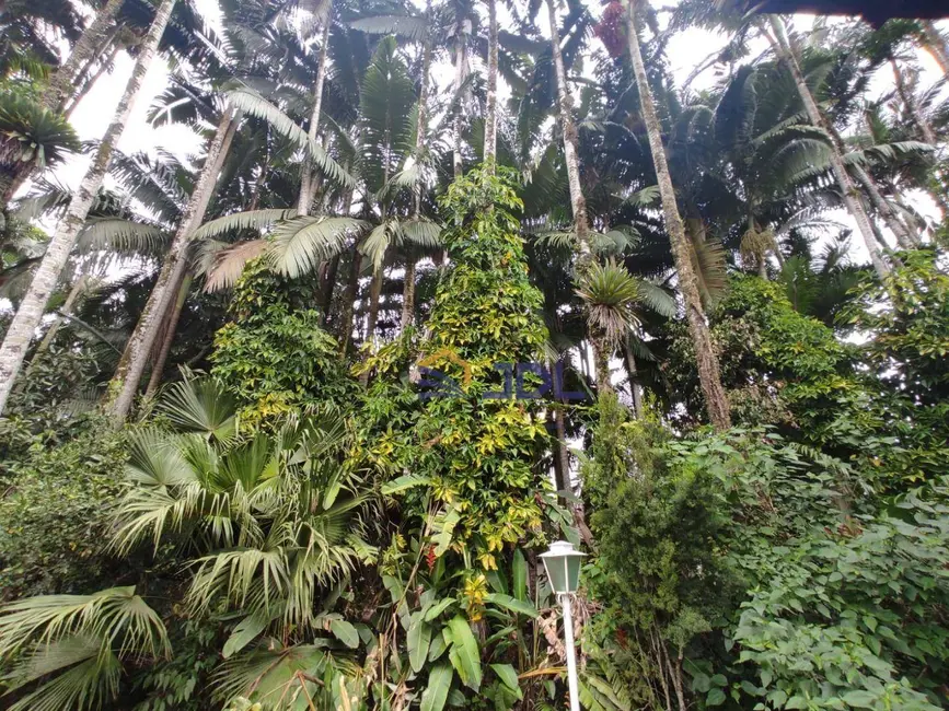 Terreno / Lote à venda, 4200m2 em Itoupava Seca, Blumenau - SC - imagem 8 Foto 8 de Terreno / Lote à venda, 4200m2 em Itoupava Seca, Blumenau - SC
