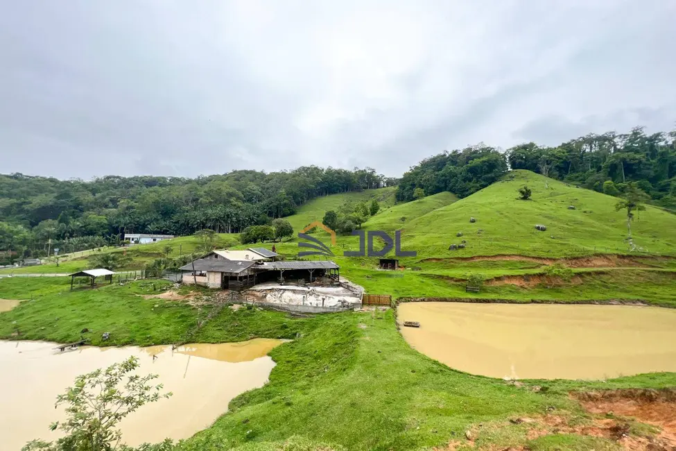 Foto 1 de Sítio / Rancho com 3 quartos à venda, 230000m2 em Vila Itoupava, Blumenau - SC