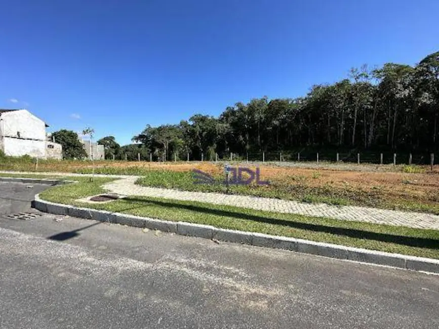 Terreno / Lote à venda, 342m2 em Itoupava Central, Blumenau - SC - imagem 7 Foto 7 de Terreno / Lote à venda, 342m2 em Itoupava Central, Blumenau - SC