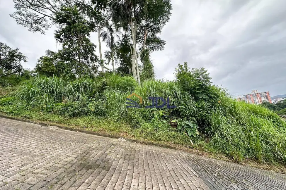 Terreno / Lote à venda, 450m2 em Asilo, Blumenau - SC - imagem 6 Foto 6 de Terreno / Lote à venda, 450m2 em Asilo, Blumenau - SC