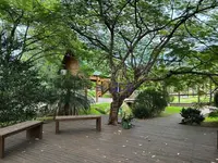 Imagem 9