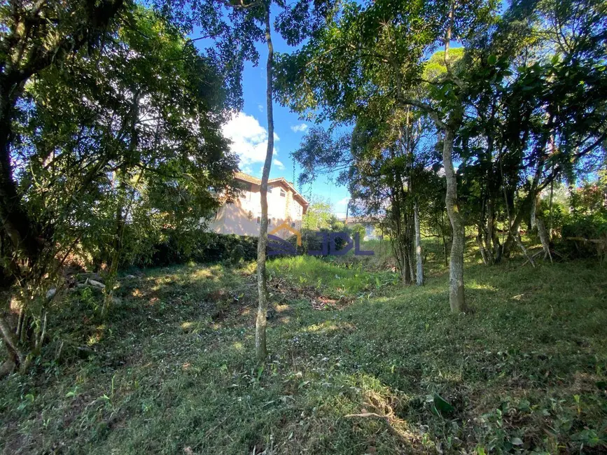 Terreno / Lote à venda, 800m2 em Ponta Aguda, Blumenau - SC - imagem 7 Foto 7 de Terreno / Lote à venda, 800m2 em Ponta Aguda, Blumenau - SC
