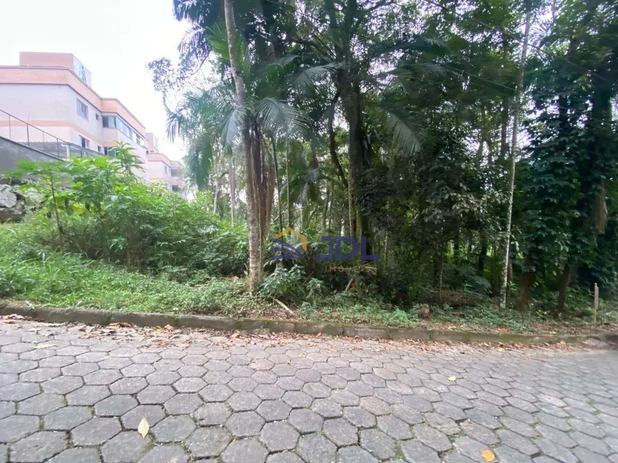 Terreno / Lote à venda, 2500m2 em Velha Central, Blumenau - SC - imagem 5 Foto 5 de Terreno / Lote à venda, 2500m2 em Velha Central, Blumenau - SC