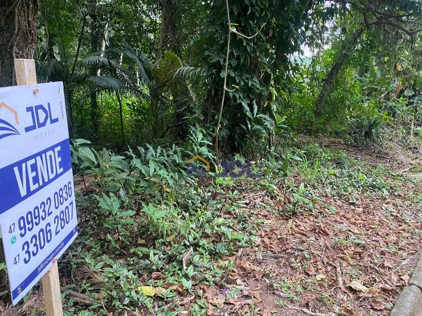 Terreno / Lote à venda, 2500m2 em Velha Central, Blumenau - SC - imagem 4 Foto 4 de Terreno / Lote à venda, 2500m2 em Velha Central, Blumenau - SC