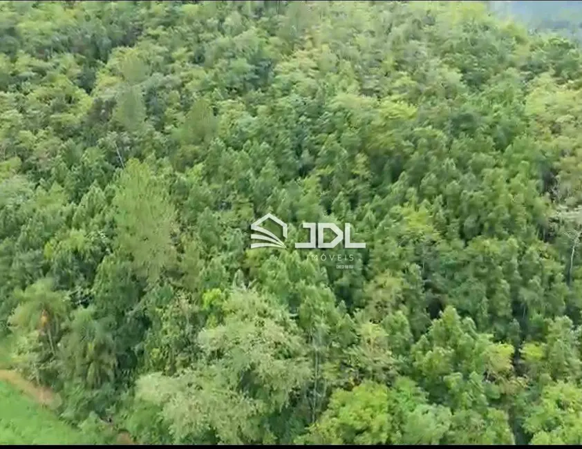 Foto 3 de Terreno / Lote à venda, 3900m2 em Pomerode - SC