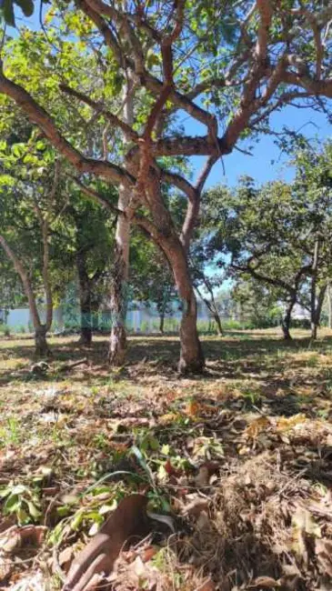 Foto 1 de Terreno / Lote à venda, 1040m2 em Lagoa Santa - MG