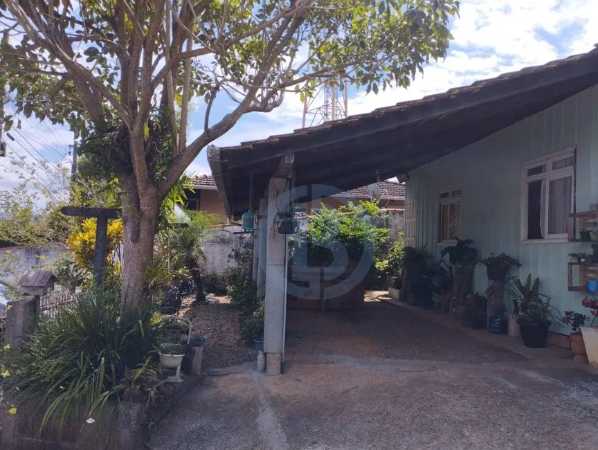 Casa com 2 quartos à venda, 603m2 em Velha, Blumenau - SC - imagem 4 Foto 4 de Casa com 2 quartos à venda, 603m2 em Velha, Blumenau - SC