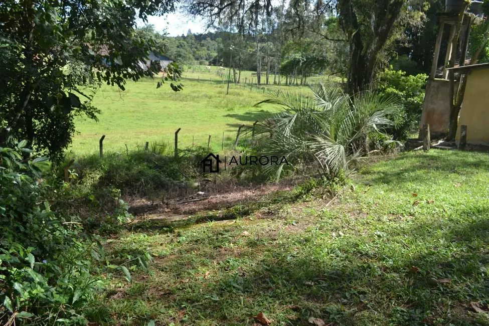 Chácara com 2 quartos à venda, 2450m2 em Barra Velha - SC - imagem 8 Foto 8 de Chácara com 2 quartos à venda, 2450m2 em Barra Velha - SC