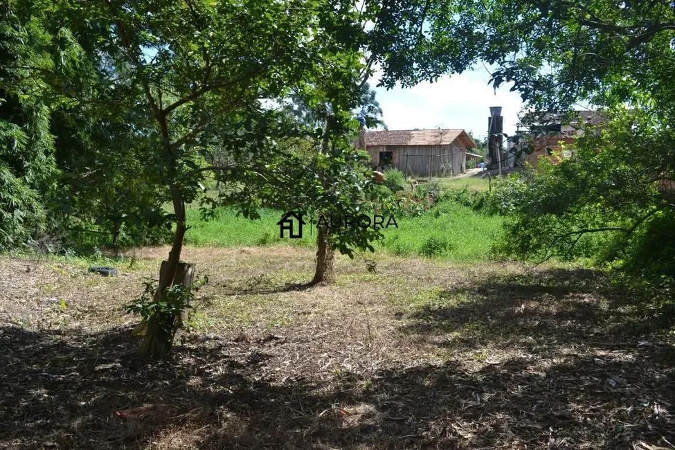 Chácara com 2 quartos à venda, 2450m2 em Barra Velha - SC - imagem 7 Foto 7 de Chácara com 2 quartos à venda, 2450m2 em Barra Velha - SC