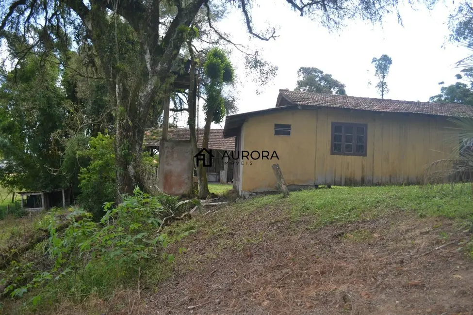 Chácara com 2 quartos à venda, 2450m2 em Barra Velha - SC - imagem 5 Foto 5 de Chácara com 2 quartos à venda, 2450m2 em Barra Velha - SC