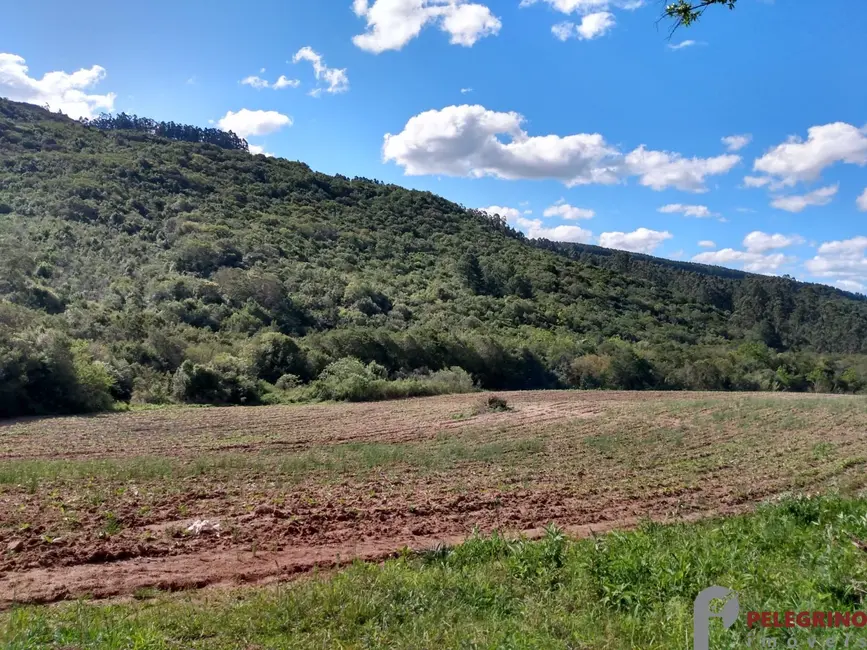 Foto 8 de Chácara com 4 quartos à venda, 91m2 em Cerro Grande Do Sul - RS