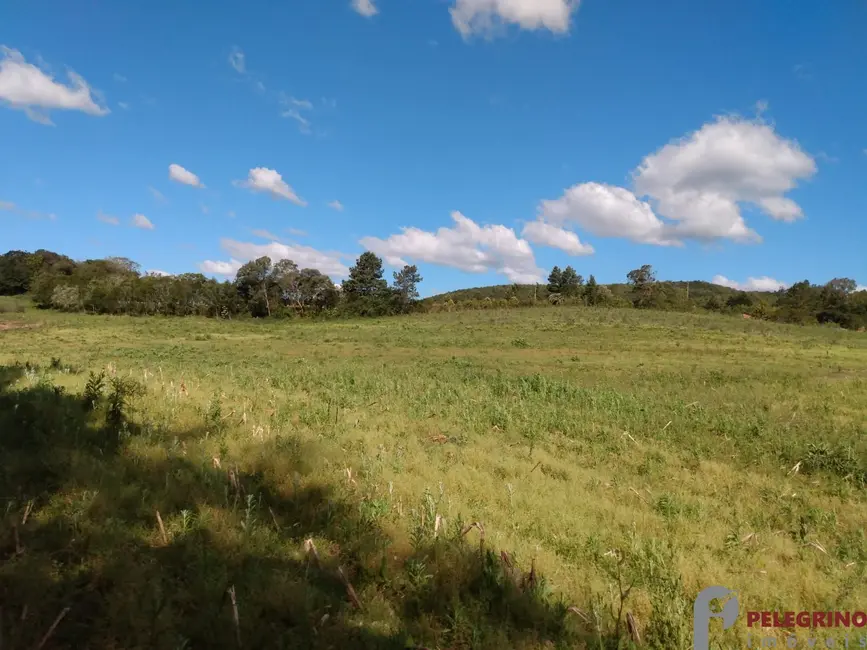 Foto 6 de Chácara com 4 quartos à venda, 91m2 em Cerro Grande Do Sul - RS