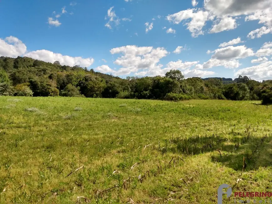 Foto 7 de Chácara com 4 quartos à venda, 91m2 em Cerro Grande Do Sul - RS