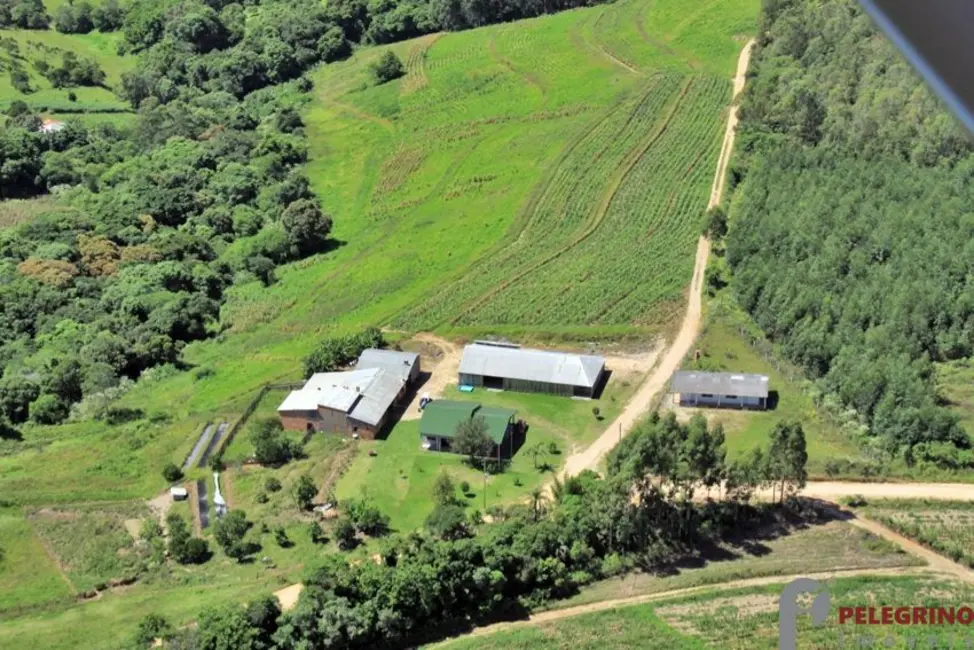 Foto 4 de Chácara com 3 quartos à venda, 80000m2 em Sentinela Do Sul - RS