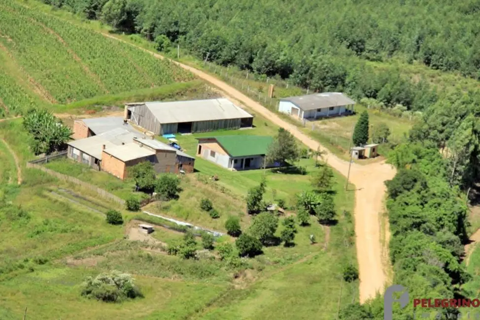 Foto 1 de Chácara com 3 quartos à venda, 80000m2 em Sentinela Do Sul - RS