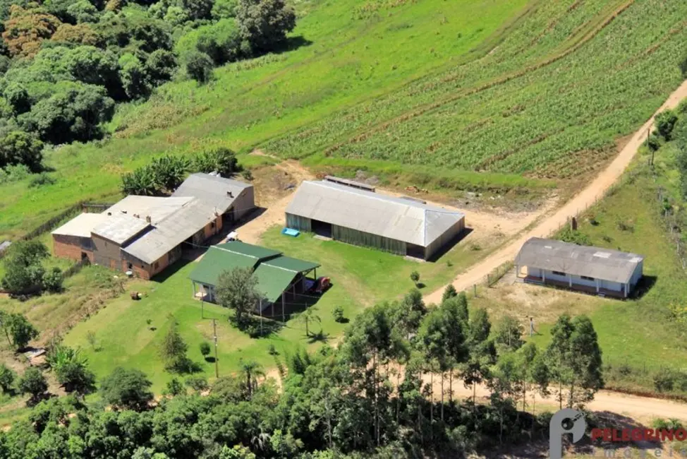 Foto 3 de Chácara com 3 quartos à venda, 80000m2 em Sentinela Do Sul - RS