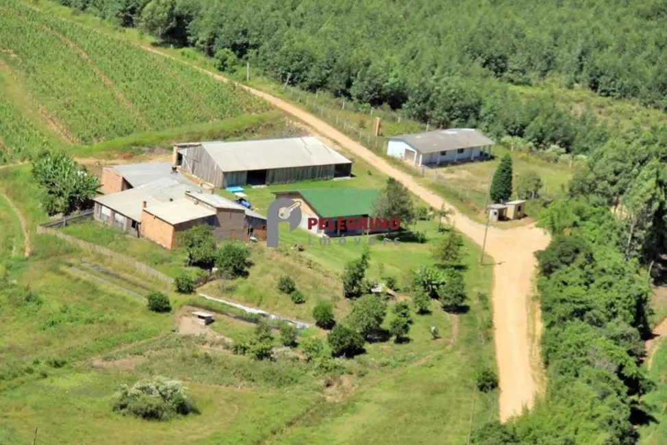 Foto 1 de Chácara com 3 quartos à venda, 80000m2 em Sentinela Do Sul - RS