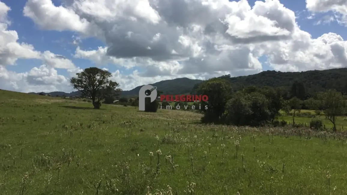 Foto 1 de Chácara com 2 quartos à venda, 1340000m2 em Centro, Sertao Santana - RS
