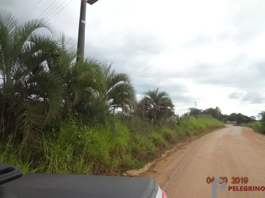 Chácara com 3 quartos à venda, 45000m2 em Sentinela Do Sul - RS - imagem 1 Foto 1 de Chácara com 3 quartos à venda, 45000m2 em Sentinela Do Sul - RS