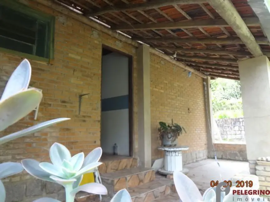 Chácara com 3 quartos à venda, 45000m2 em Sentinela Do Sul - RS - imagem 4 Foto 4 de Chácara com 3 quartos à venda, 45000m2 em Sentinela Do Sul - RS