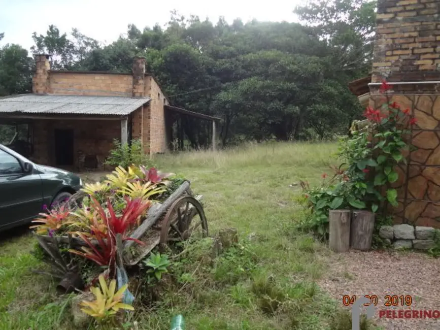 Chácara com 3 quartos à venda, 45000m2 em Sentinela Do Sul - RS - imagem 3 Foto 3 de Chácara com 3 quartos à venda, 45000m2 em Sentinela Do Sul - RS