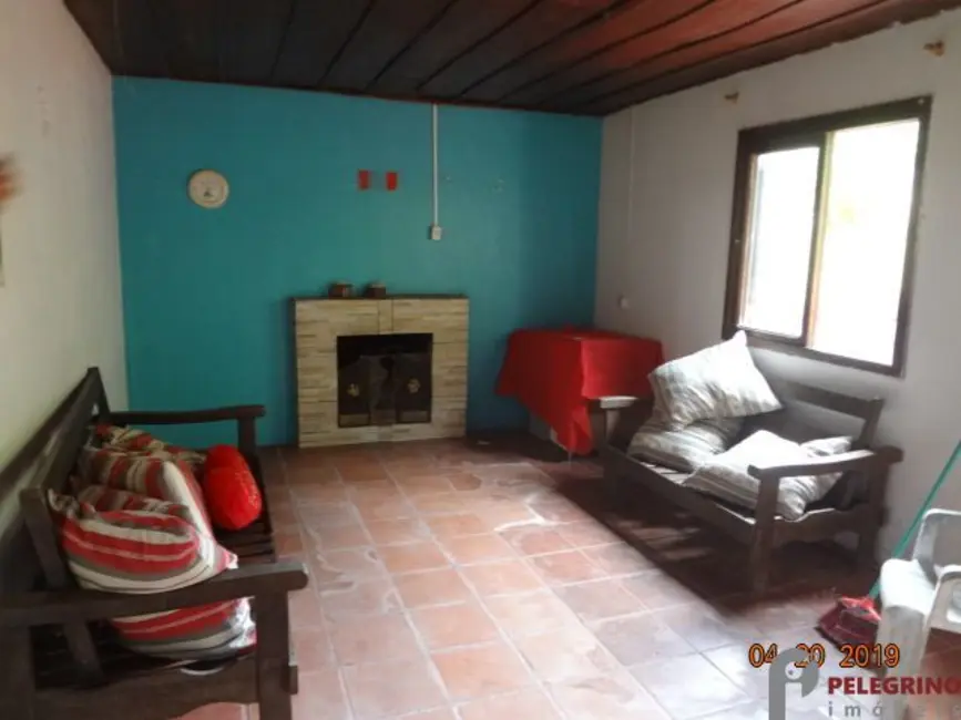 Chácara com 3 quartos à venda, 45000m2 em Sentinela Do Sul - RS - imagem 8 Foto 8 de Chácara com 3 quartos à venda, 45000m2 em Sentinela Do Sul - RS