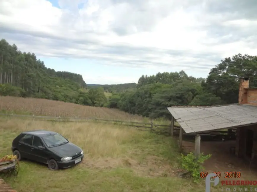 Chácara com 3 quartos à venda, 45000m2 em Sentinela Do Sul - RS - imagem 2 Foto 2 de Chácara com 3 quartos à venda, 45000m2 em Sentinela Do Sul - RS