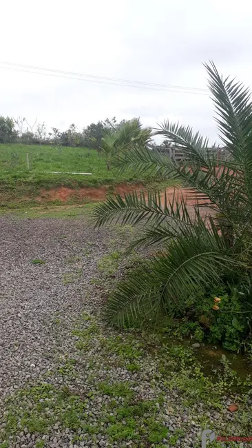 Chácara com 2 quartos à venda, 95m2 em Sentinela Do Sul - RS - imagem 5 Foto 5 de Chácara com 2 quartos à venda, 95m2 em Sentinela Do Sul - RS