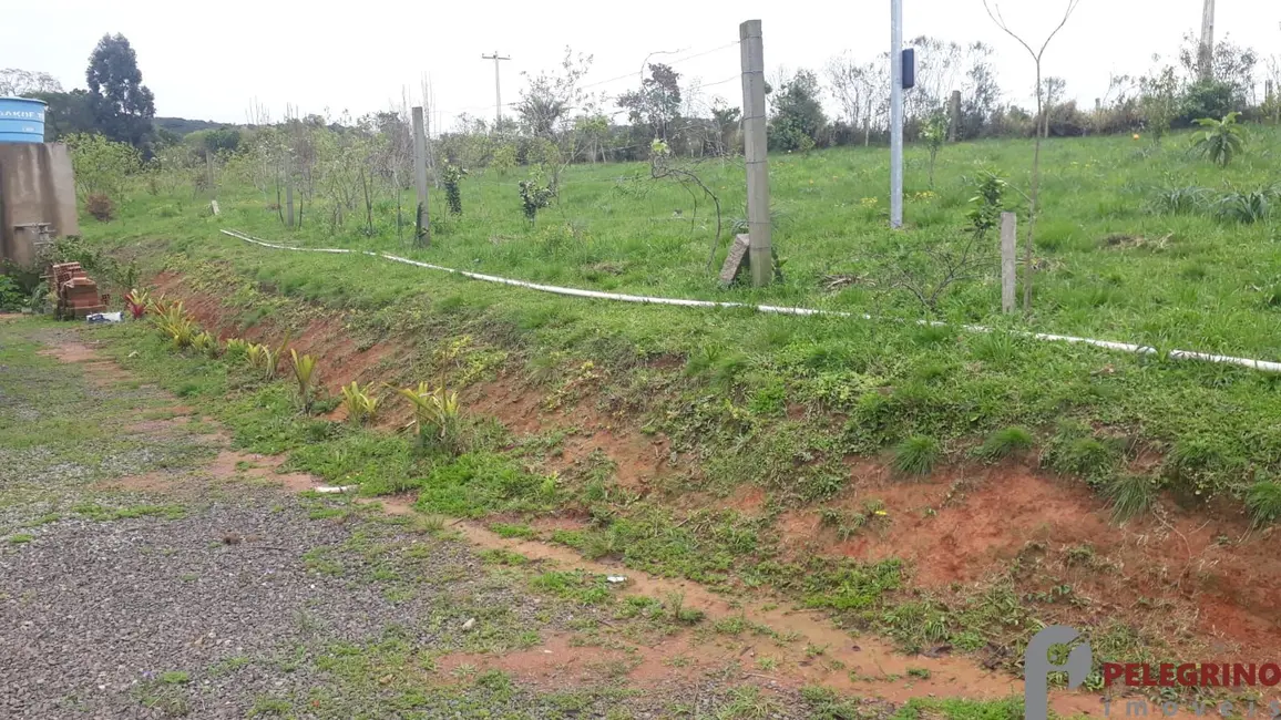 Chácara com 2 quartos à venda, 95m2 em Sentinela Do Sul - RS - imagem 4 Foto 4 de Chácara com 2 quartos à venda, 95m2 em Sentinela Do Sul - RS