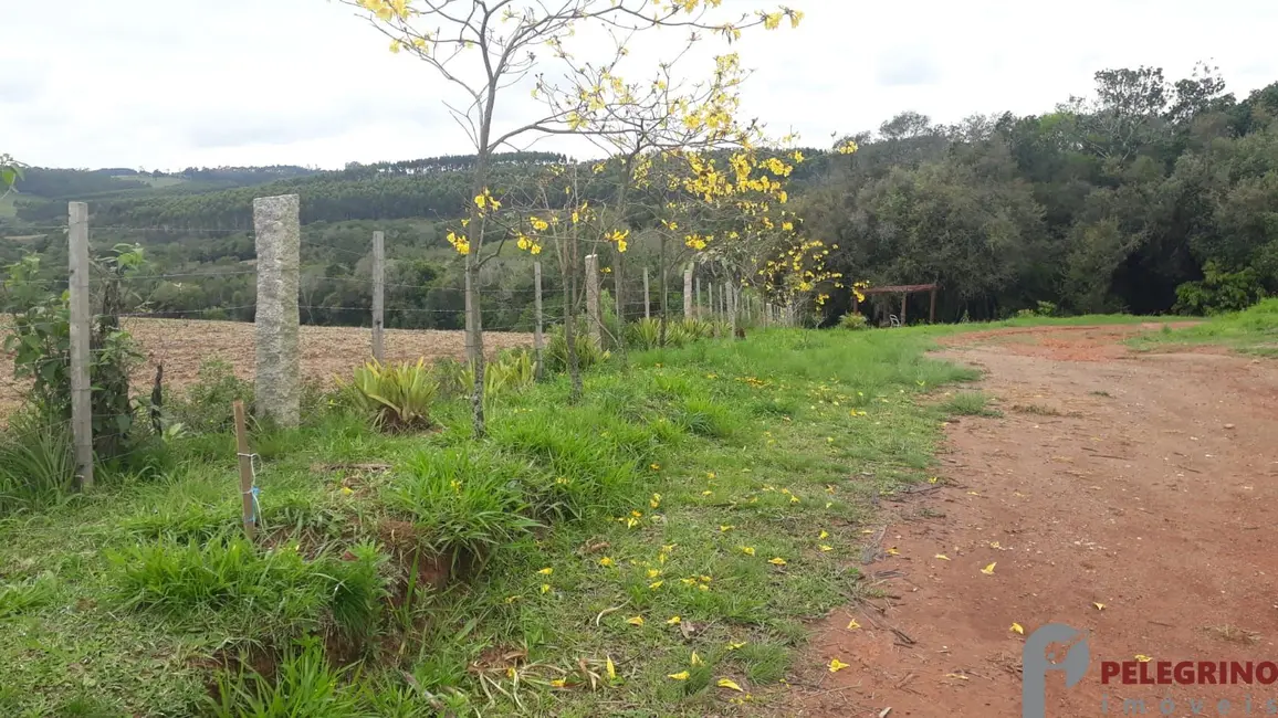 Chácara com 2 quartos à venda, 95m2 em Sentinela Do Sul - RS - imagem 1 Foto 1 de Chácara com 2 quartos à venda, 95m2 em Sentinela Do Sul - RS