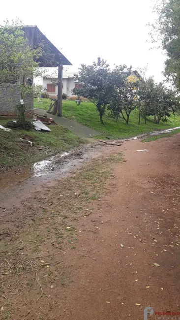 Chácara com 2 quartos à venda, 95m2 em Sentinela Do Sul - RS - imagem 9 Foto 9 de Chácara com 2 quartos à venda, 95m2 em Sentinela Do Sul - RS