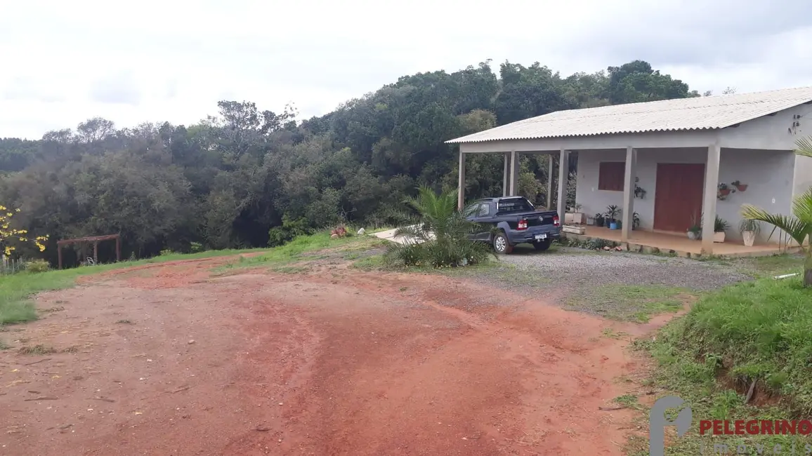 Chácara com 2 quartos à venda, 95m2 em Sentinela Do Sul - RS - imagem 6 Foto 6 de Chácara com 2 quartos à venda, 95m2 em Sentinela Do Sul - RS