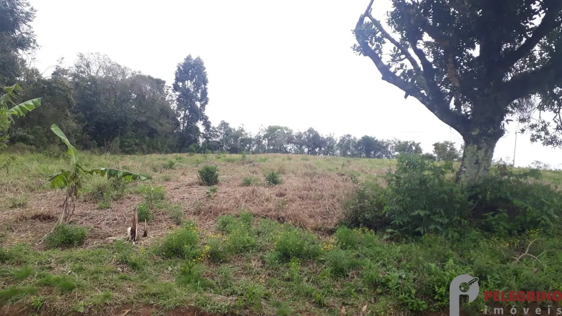 Chácara com 2 quartos à venda, 95m2 em Sentinela Do Sul - RS - imagem 8 Foto 8 de Chácara com 2 quartos à venda, 95m2 em Sentinela Do Sul - RS