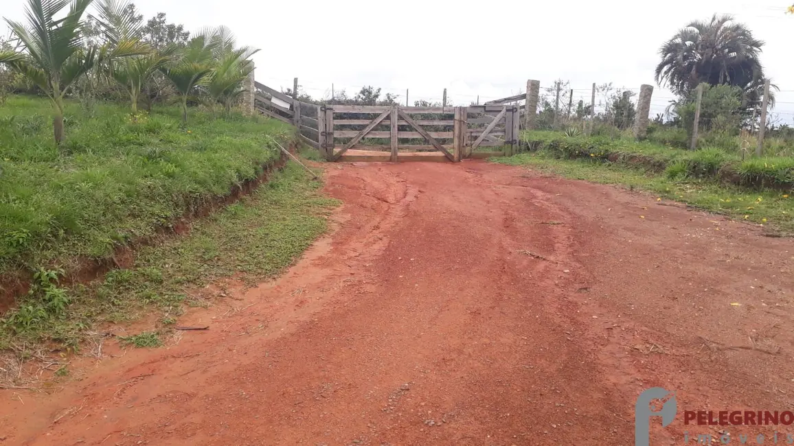 Chácara com 2 quartos à venda, 95m2 em Sentinela Do Sul - RS - imagem 2 Foto 2 de Chácara com 2 quartos à venda, 95m2 em Sentinela Do Sul - RS