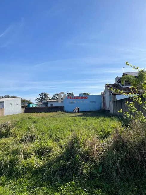 Foto 2 de Terreno / Lote à venda, 350m2 em Tapes - RS