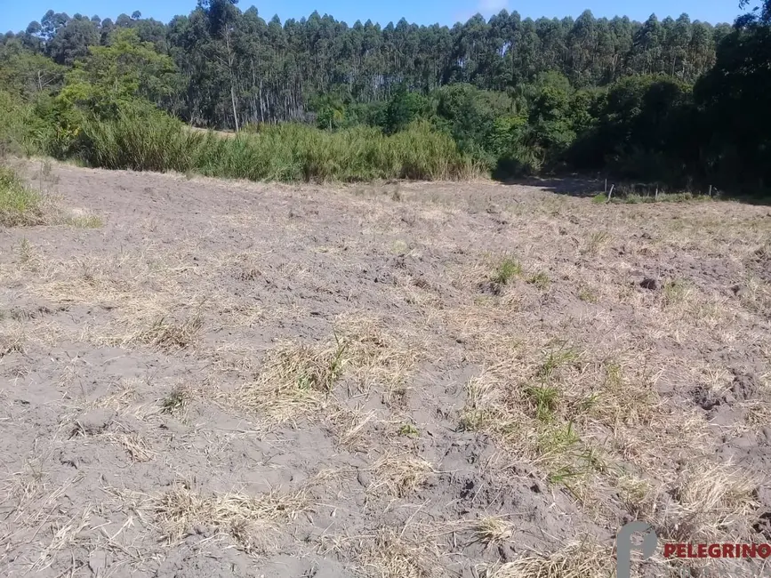 Foto 6 de Chácara com 2 quartos à venda, 80m2 em Sentinela Do Sul - RS