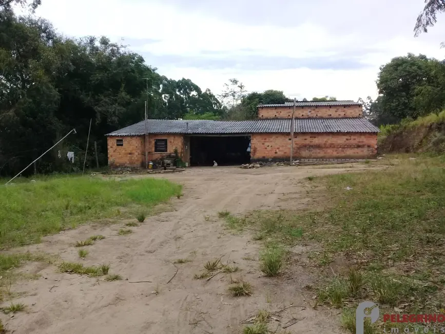 Foto 1 de Chácara com 2 quartos à venda, 80m2 em Sentinela Do Sul - RS