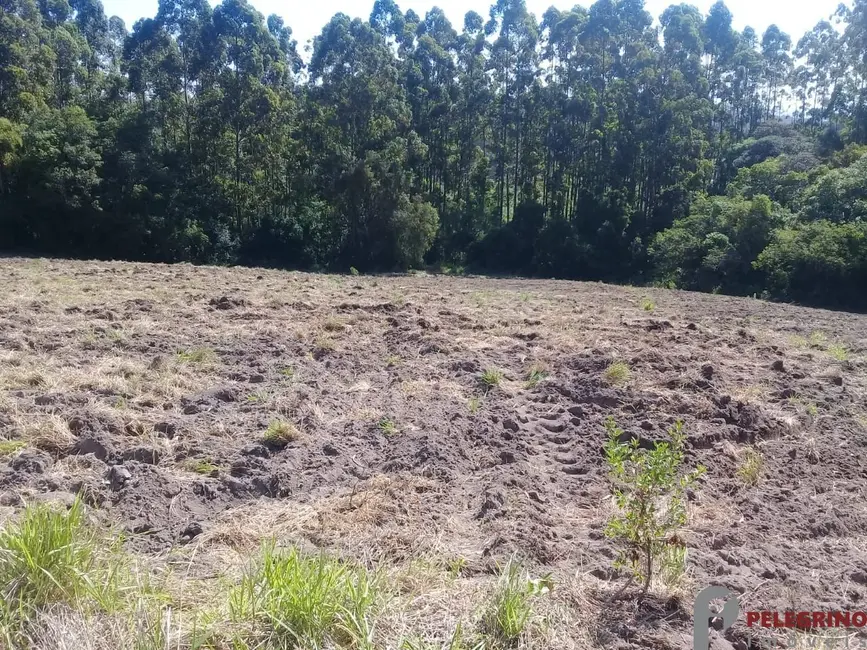 Foto 7 de Chácara com 2 quartos à venda, 80m2 em Sentinela Do Sul - RS