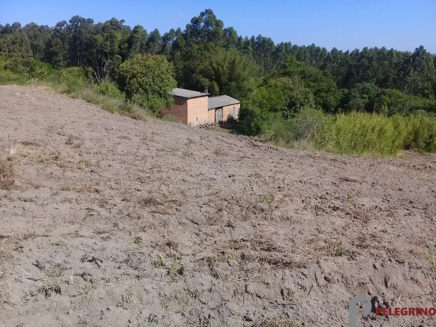 Foto 3 de Chácara com 2 quartos à venda, 80m2 em Sentinela Do Sul - RS