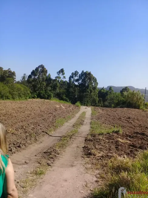 Foto 4 de Chácara com 2 quartos à venda, 80m2 em Sentinela Do Sul - RS