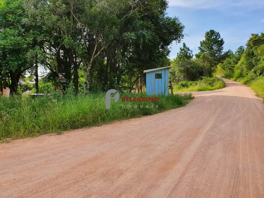Foto 4 de Terreno / Lote à venda, 338m2 em Tapes - RS