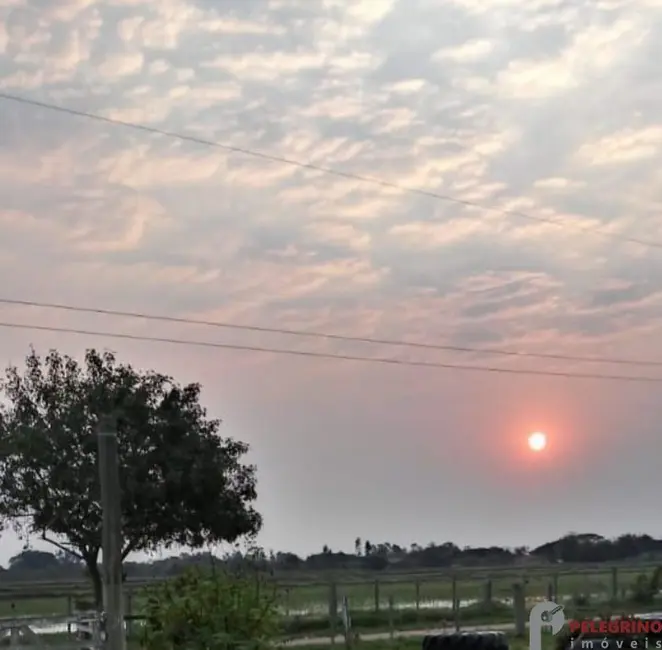 Foto 9 de Chácara com 2 quartos à venda, 70m2 em Tapes - RS