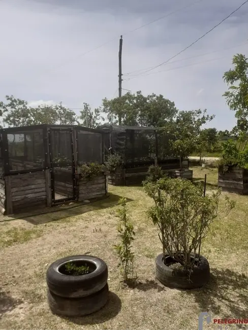 Foto 8 de Chácara com 2 quartos à venda, 70m2 em Tapes - RS