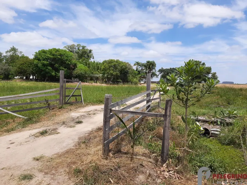 Foto 4 de Chácara com 2 quartos à venda, 60000m2 em Tapes - RS
