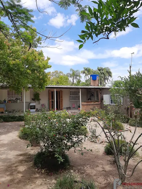 Foto 1 de Chácara com 2 quartos à venda, 60000m2 em Tapes - RS