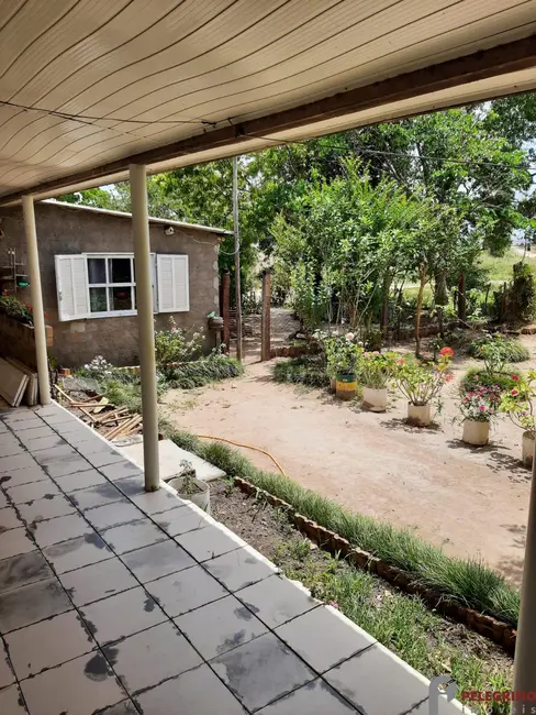 Foto 2 de Chácara com 2 quartos à venda, 60000m2 em Tapes - RS