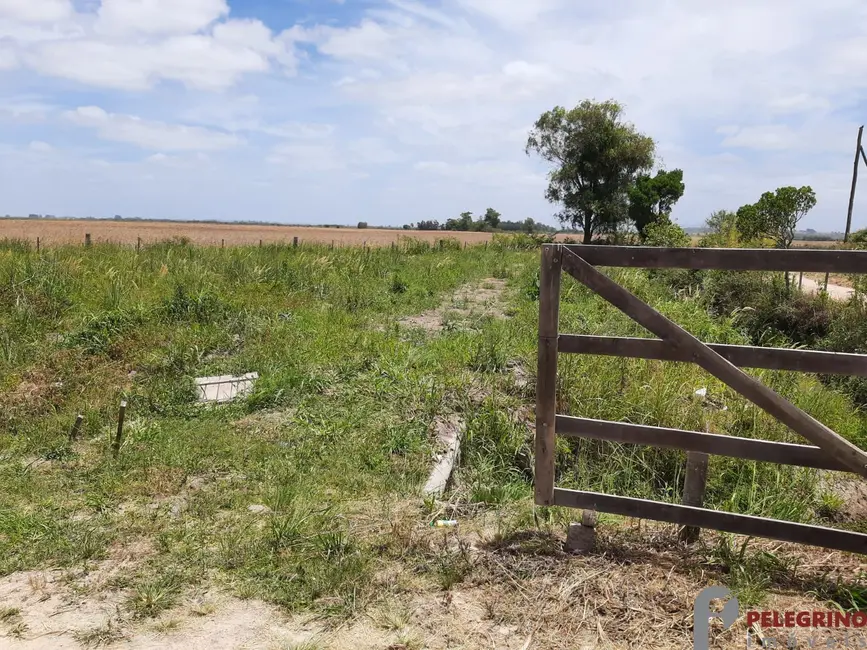 Foto 6 de Chácara com 2 quartos à venda, 60000m2 em Tapes - RS